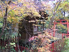熊野若王子神社の紅葉の画像