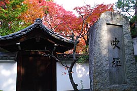 東福寺近くの紅葉の画像